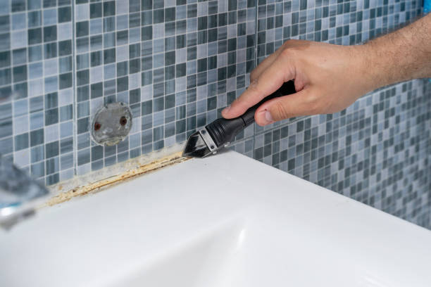 Professional Mold Removal in Homestead Meadows North, TX