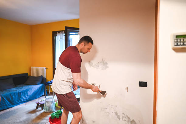 Certified Mold Removal in Homestead Meadows North, TX
